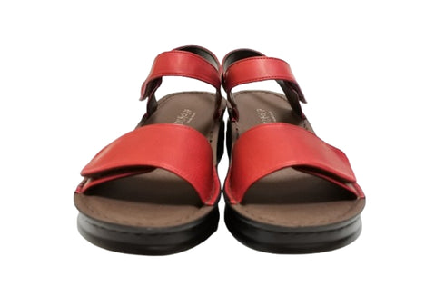 【インコルジェ4236 ワイン】アンクルベルトセパレートサンダル